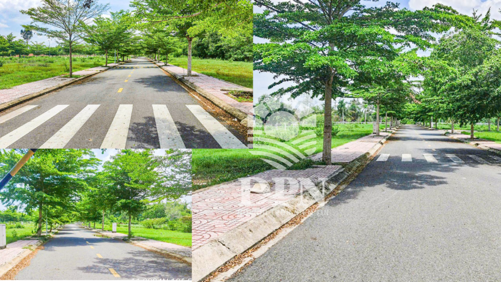 Ha Tang Kdc Ap Cay Sop Cu Chi 2