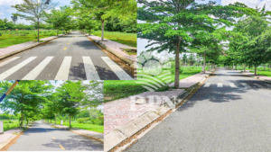 Ha Tang Kdc Ap Cay Sop Cu Chi 2